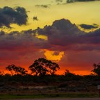 Outback Adventure: State Route 19